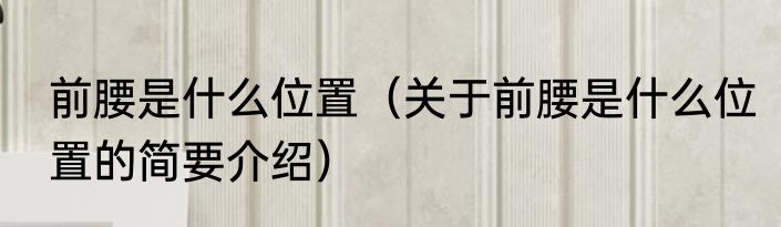 前腰是什么位置（关于前腰是什么位置的简要介绍）
