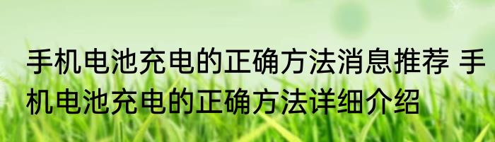 手机电池充电的正确方法消息推荐 手机电池充电的正确方法详细介绍