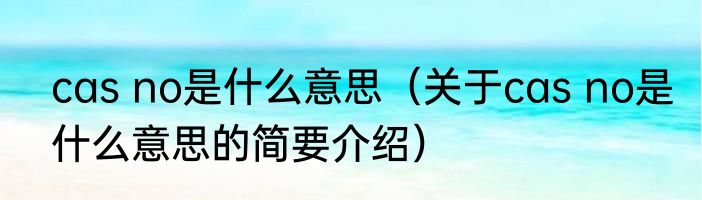 cas no是什么意思（关于cas no是什么意思的简要介绍）