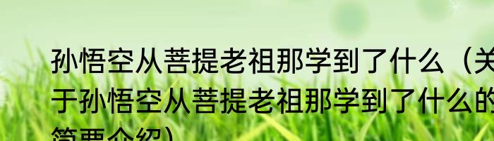孙悟空从菩提老祖那学到了什么（关于孙悟空从菩提老祖那学到了什么的简要介绍）