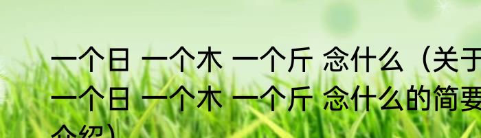 一个日 一个木 一个斤 念什么（关于一个日 一个木 一个斤 念什么的简要介绍）