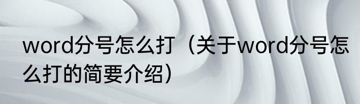 word分号怎么打（关于word分号怎么打的简要介绍）