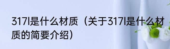 317l是什么材质（关于317l是什么材质的简要介绍）