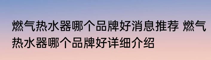 燃气热水器哪个品牌好消息推荐 燃气热水器哪个品牌好详细介绍