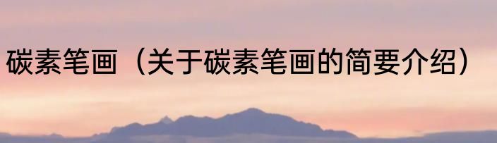 碳素笔画（关于碳素笔画的简要介绍）