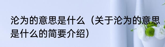 沦为的意思是什么（关于沦为的意思是什么的简要介绍）