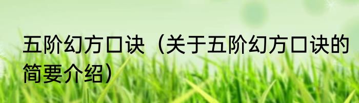 五阶幻方口诀（关于五阶幻方口诀的简要介绍）