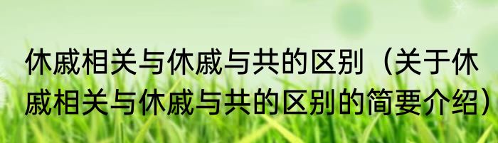 预言季先祖任务第4个怎么过消息推荐 预言季先祖任务第4个怎么过详细介绍