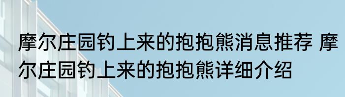 摩尔庄园钓上来的抱抱熊消息推荐 摩尔庄园钓上来的抱抱熊详细介绍