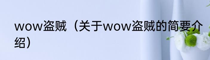 wow盗贼（关于wow盗贼的简要介绍）
