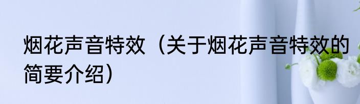 烟花声音特效（关于烟花声音特效的简要介绍）