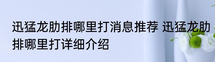 迅猛龙肋排哪里打消息推荐 迅猛龙肋排哪里打详细介绍