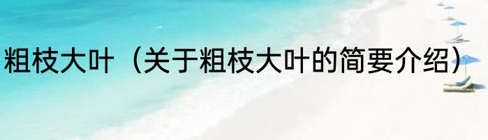 粗枝大叶（关于粗枝大叶的简要介绍）