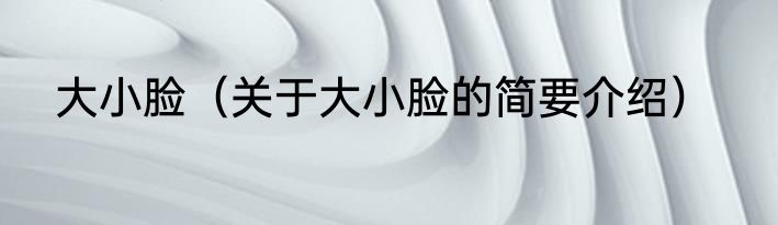 大小脸（关于大小脸的简要介绍）