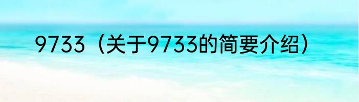 9733（关于9733的简要介绍）