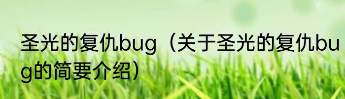 圣光的复仇bug（关于圣光的复仇bug的简要介绍）