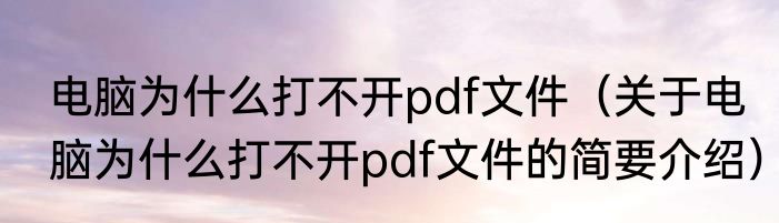 电脑为什么打不开pdf文件（关于电脑为什么打不开pdf文件的简要介绍）