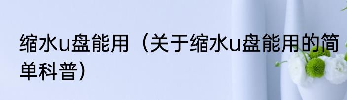 缩水u盘能用（关于缩水u盘能用的简单科普）