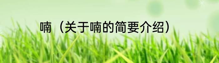 喃（关于喃的简要介绍）