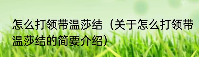 怎么打领带温莎结（关于怎么打领带温莎结的简要介绍）