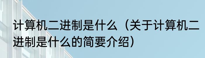 计算机二进制是什么（关于计算机二进制是什么的简要介绍）