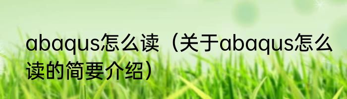 abaqus怎么读（关于abaqus怎么读的简要介绍）