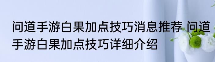 问道手游白果加点技巧消息推荐 问道手游白果加点技巧详细介绍