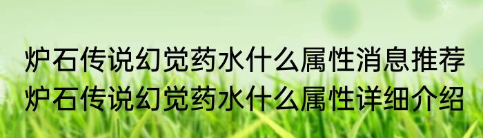 炉石传说幻觉药水什么属性消息推荐 炉石传说幻觉药水什么属性详细介绍