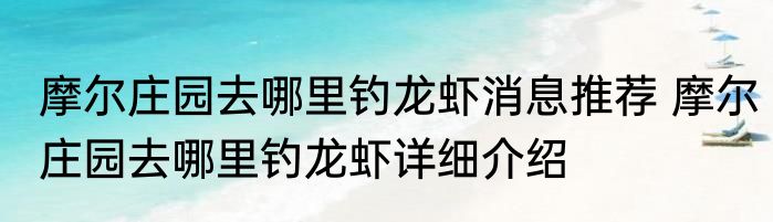 摩尔庄园去哪里钓龙虾消息推荐 摩尔庄园去哪里钓龙虾详细介绍