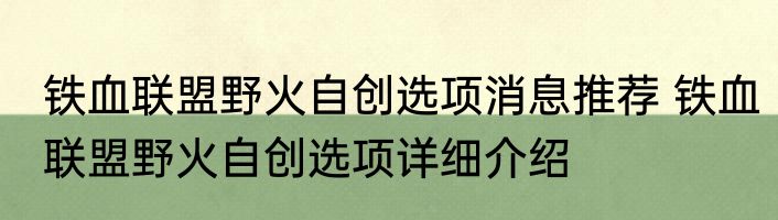 铁血联盟野火自创选项消息推荐 铁血联盟野火自创选项详细介绍