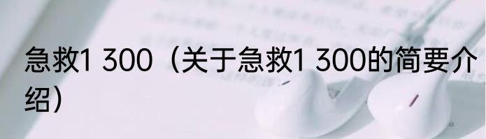 急救1 300（关于急救1 300的简要介绍）