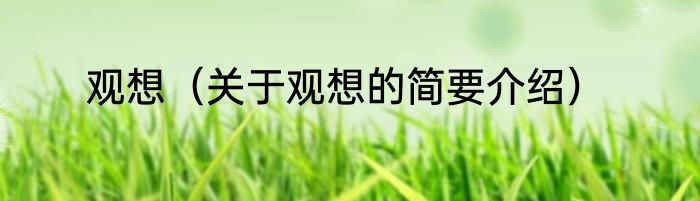 观想（关于观想的简要介绍）