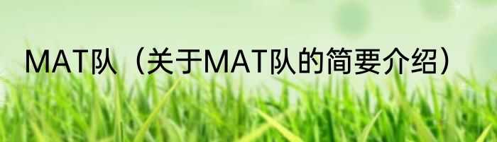 MAT队（关于MAT队的简要介绍）