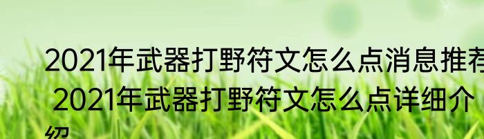 2021年武器打野符文怎么点消息推荐 2021年武器打野符文怎么点详细介绍