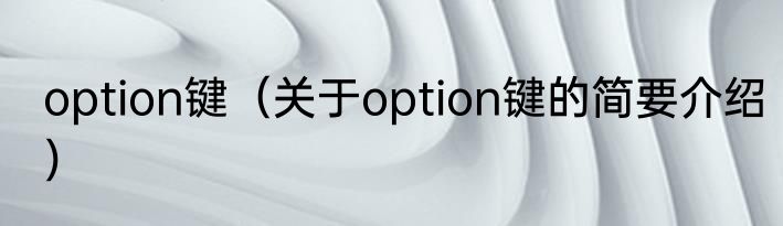 option键（关于option键的简要介绍）