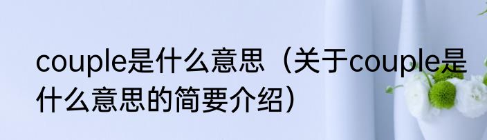 couple是什么意思（关于couple是什么意思的简要介绍）