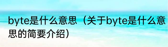 byte是什么意思（关于byte是什么意思的简要介绍）