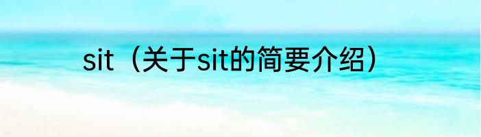 sit（关于sit的简要介绍）