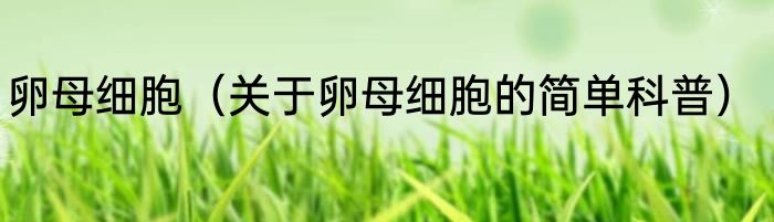 卵母细胞（关于卵母细胞的简单科普）