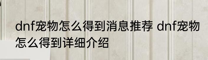 dnf宠物怎么得到消息推荐 dnf宠物怎么得到详细介绍