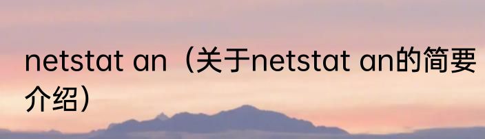 netstat an（关于netstat an的简要介绍）