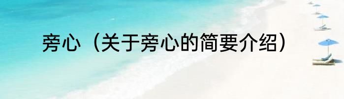 旁心（关于旁心的简要介绍）