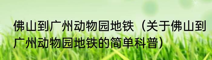 佛山到广州动物园地铁（关于佛山到广州动物园地铁的简单科普）