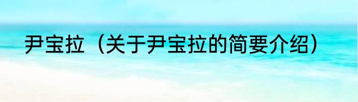 尹宝拉（关于尹宝拉的简要介绍）