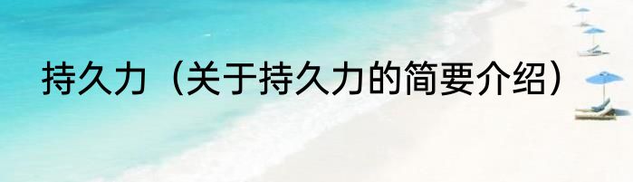 持久力（关于持久力的简要介绍）