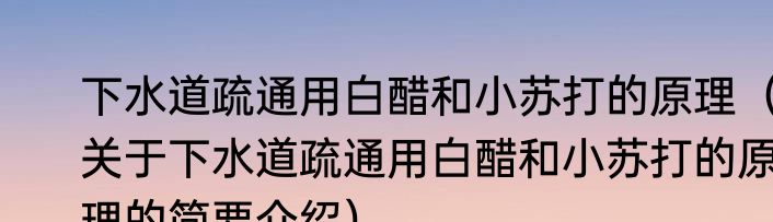 下水道疏通用白醋和小苏打的原理（关于下水道疏通用白醋和小苏打的原理的简要介绍）