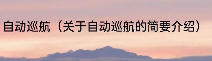 自动巡航（关于自动巡航的简要介绍）