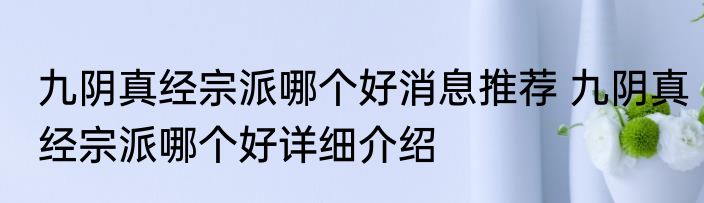 九阴真经宗派哪个好消息推荐 九阴真经宗派哪个好详细介绍