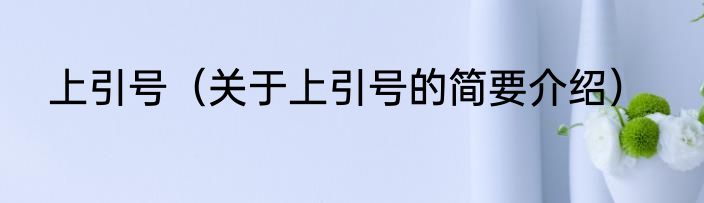 上引号（关于上引号的简要介绍）