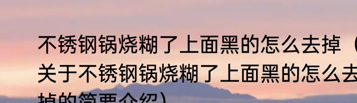 不锈钢锅烧糊了上面黑的怎么去掉（关于不锈钢锅烧糊了上面黑的怎么去掉的简要介绍）
